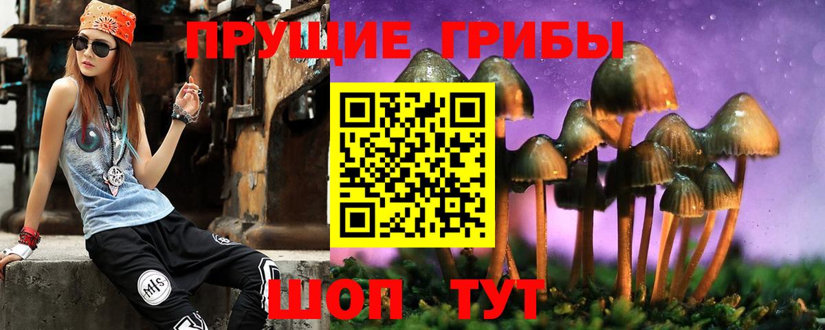 Псилоцибиновые грибы Psilocybine cubensis  Вход с VPN  Волхов  закладка  Псилоцибиновые грибы Psilocybe 