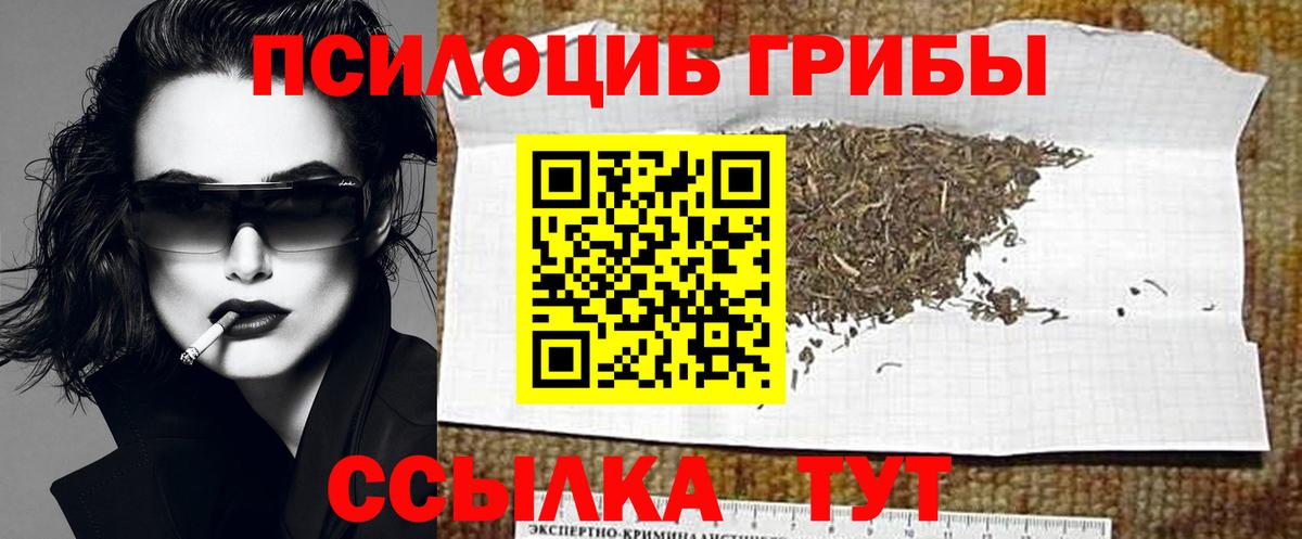 Галлюциногенные грибы Cubensis Волхов